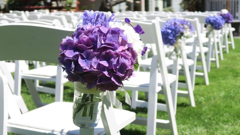 Hydrangeas in glass jars hanging on white wedding chairs at Mitchell Grove outdoor ceremony in Northern California