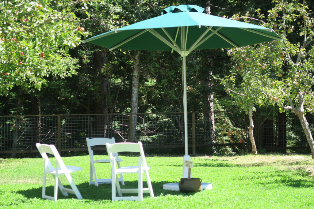 Smoking area in the orchard ...