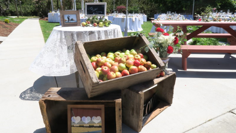 Apple boxes used as rustic wedding decorations at Northern California orchard venue.