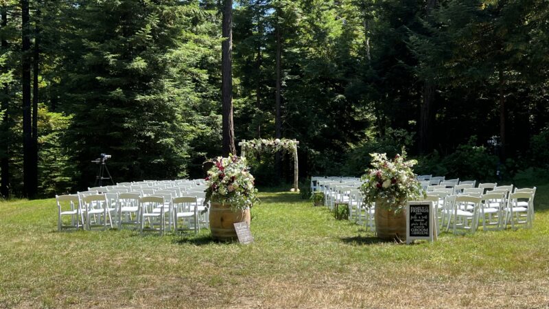Cheap wedding in the redwoods with DIY arch and barrel décor