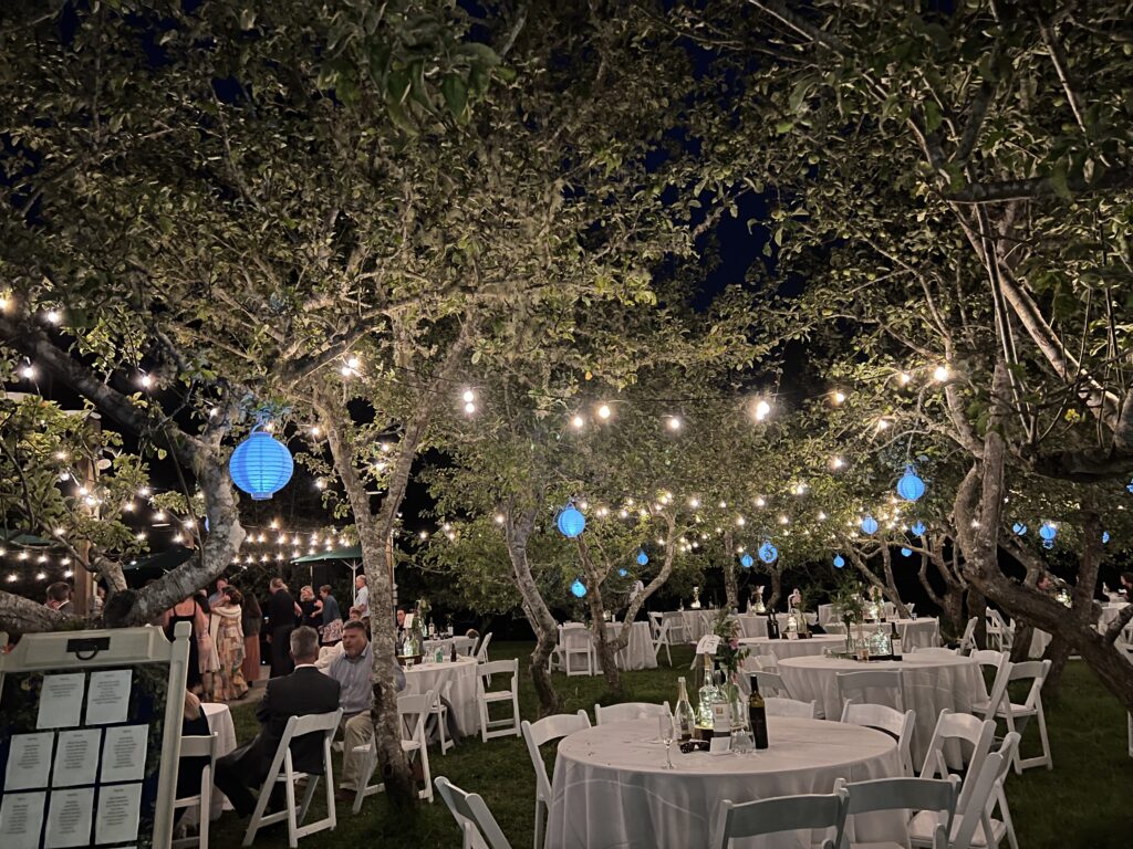 People dining in the orchard under twinkle lights …