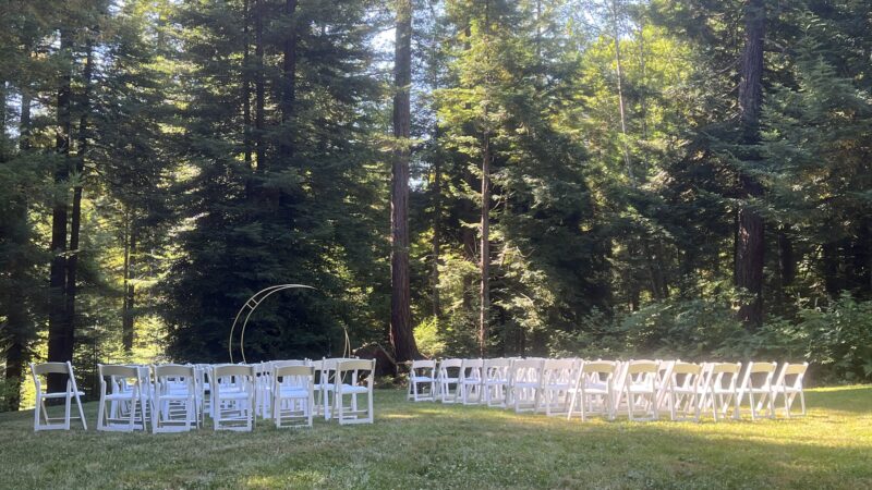 Rustic wedding ceremony site in the redwoods with seating area