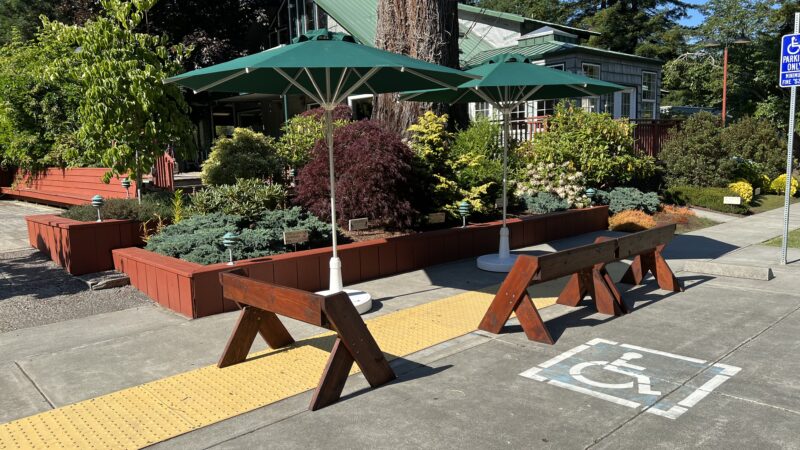 Benches and umbrellas set up in a shaded social area at Mitchell Grove, part of the lending closet for DIY weddings in Northern California