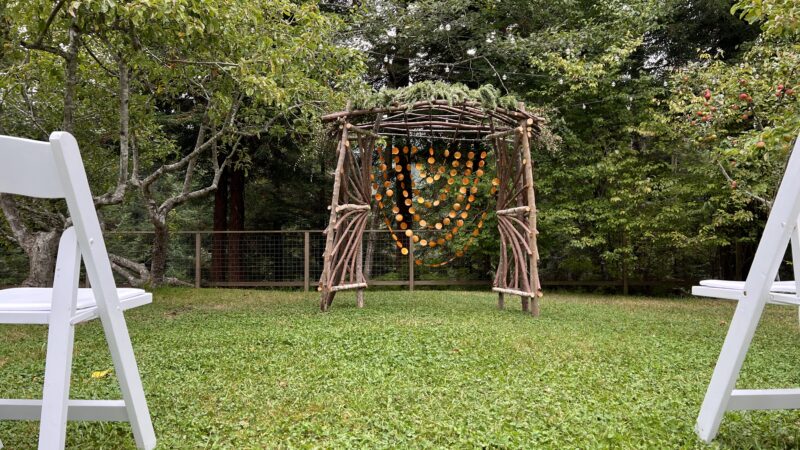 Homemade wedding arch made from branches in the orchard at Mitchell Grove