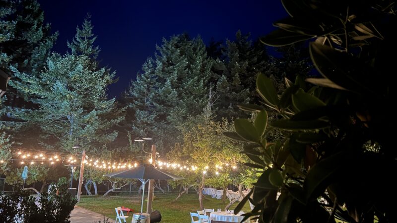 Morning after DIY wedding at Mitchell Grove in Humboldt County, Northern California with tables showing the joy of the celebration