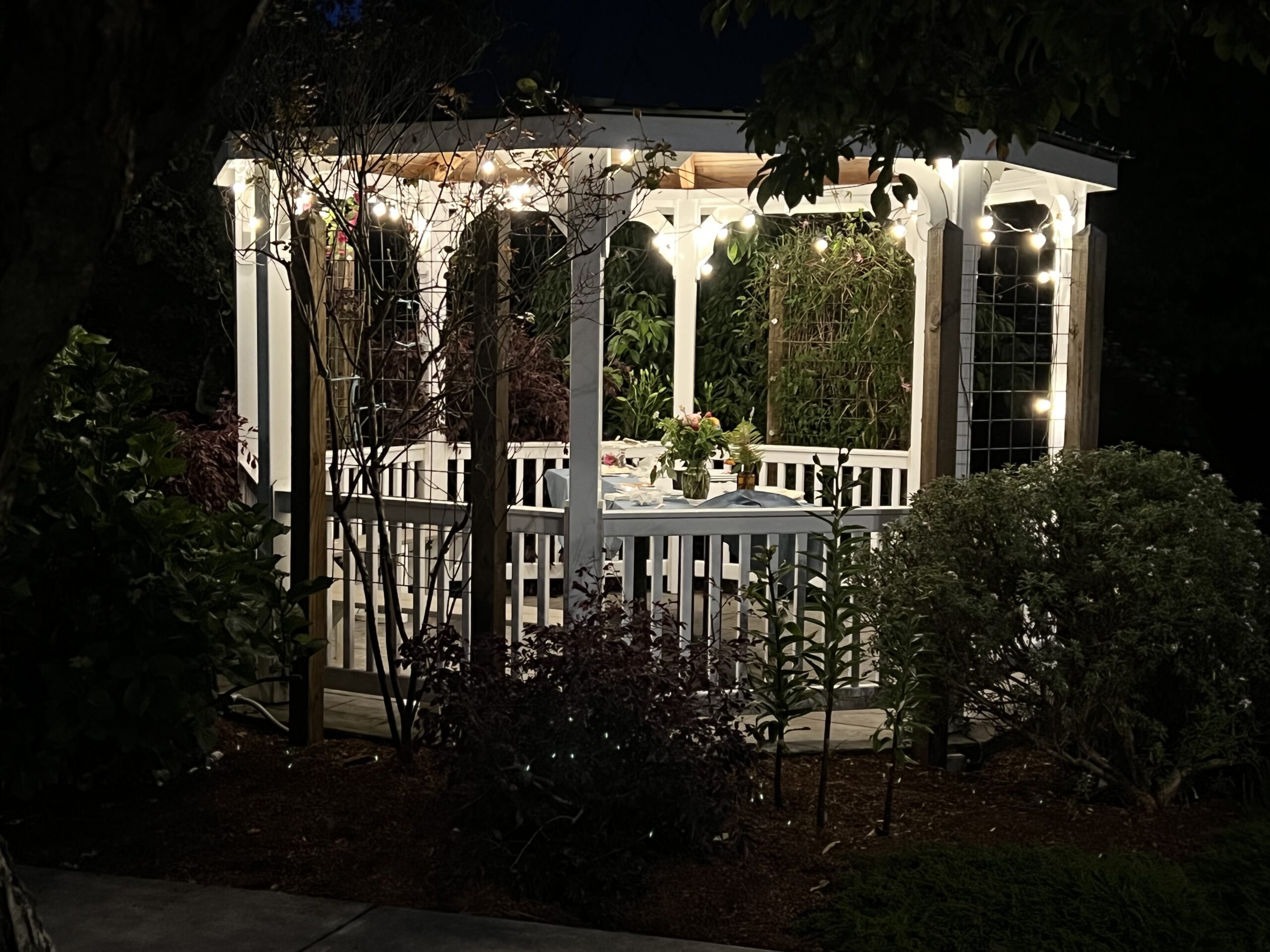 Gazebo lit up at night at Mitchell Grove, a peaceful gathering spot for evening wedding guests in Northern California.