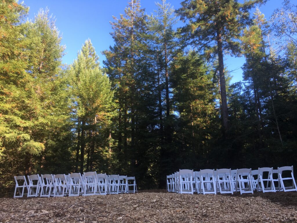 Rustic wedding ceremony with white chairs in the Redwood Grove at Mitchell Grove.