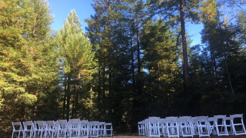 Rustic wedding ceremony with white chairs in the Redwood Grove at Mitchell Grove.