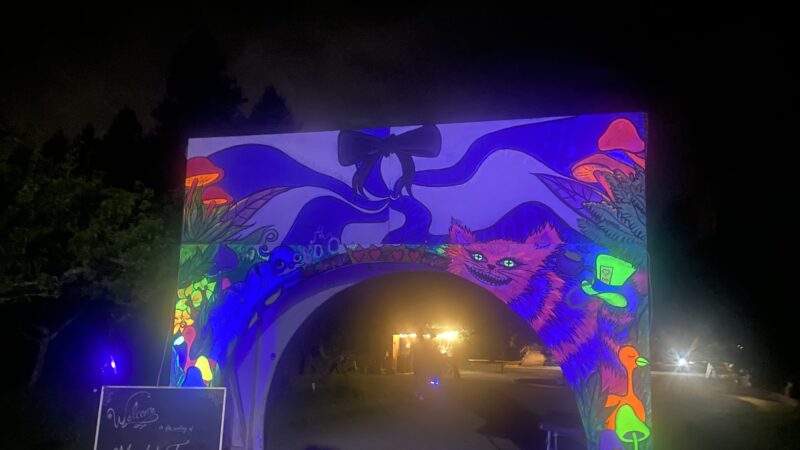 Psychedelic wedding arch with glowing neon lights at Mitchell Grove, celebrating a couple’s unique love story