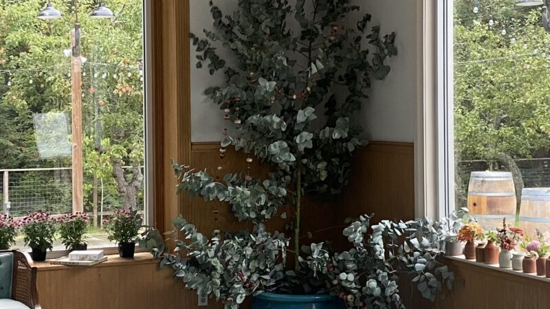 Large decorative garden pots at Mitchell Grove wedding, styled by the bride’s garden club friends.