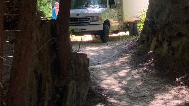 Delivery truck bringing wedding chairs into a redwood grove for a DIY celebration in Humboldt County.