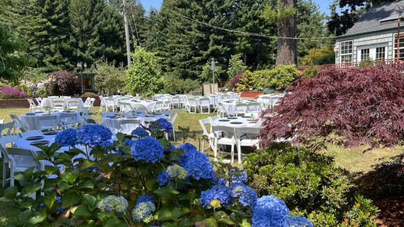 Wedding reception tables set up in the garden at Mitchell Grove in Northern California, ready for guests