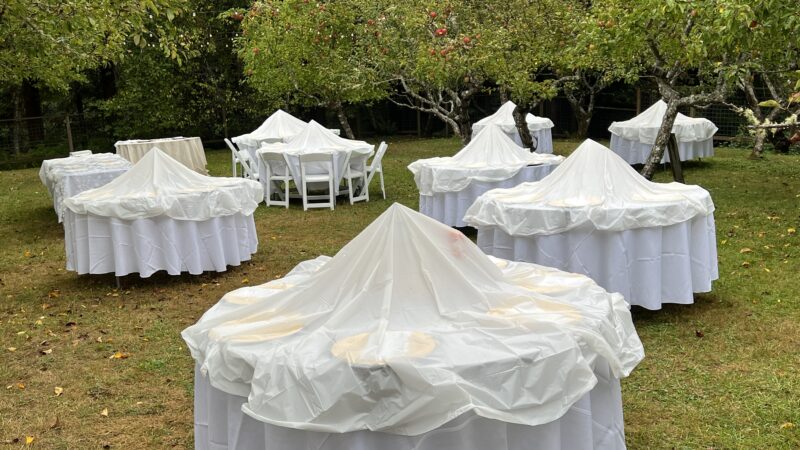 Orchard wedding tables fully set the night before, covered with clear dollar store plastic to protect from dew