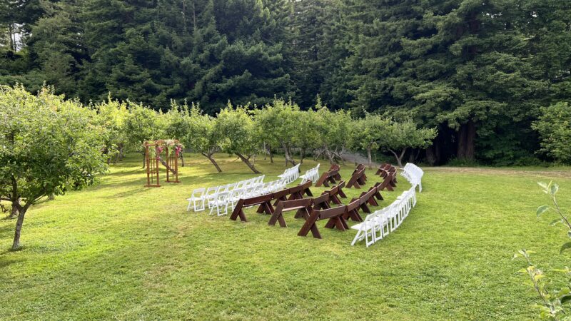 Outdoor orchard wedding ceremony with redwood backdrop, wooden arch, and a mix of benches and chairs for guests.