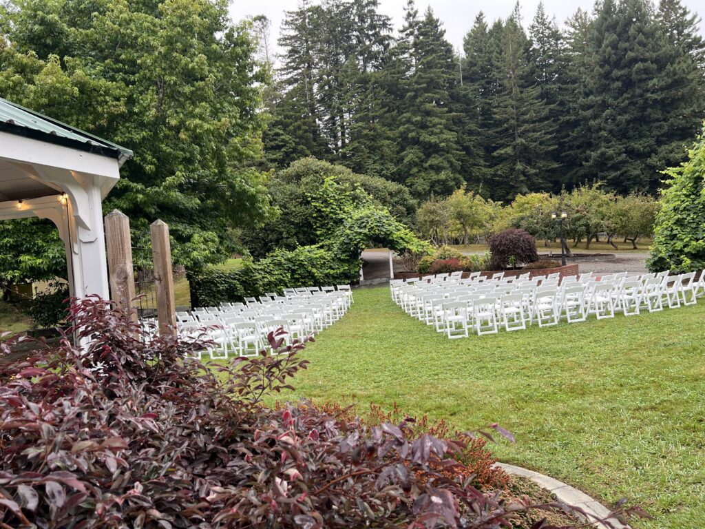 Wedding ceremony at Mitchell Grove with the grape arch framed by orchards and redwoods
