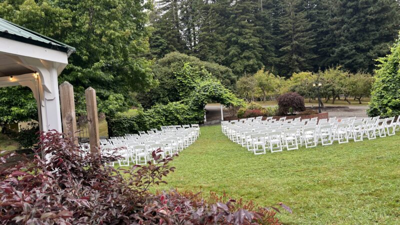 Wedding ceremony at Mitchell Grove with the grape arch framed by orchards and redwoods