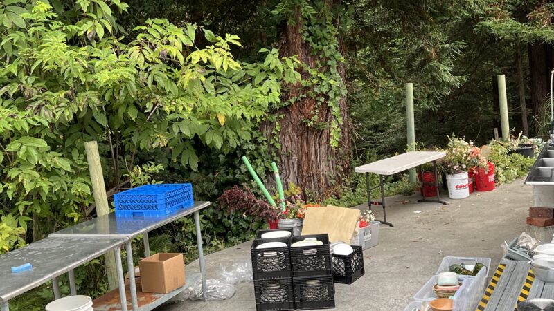 Outdoor catering prep area with metal tables, storage bins, and dishwashing setup behind the wedding hall