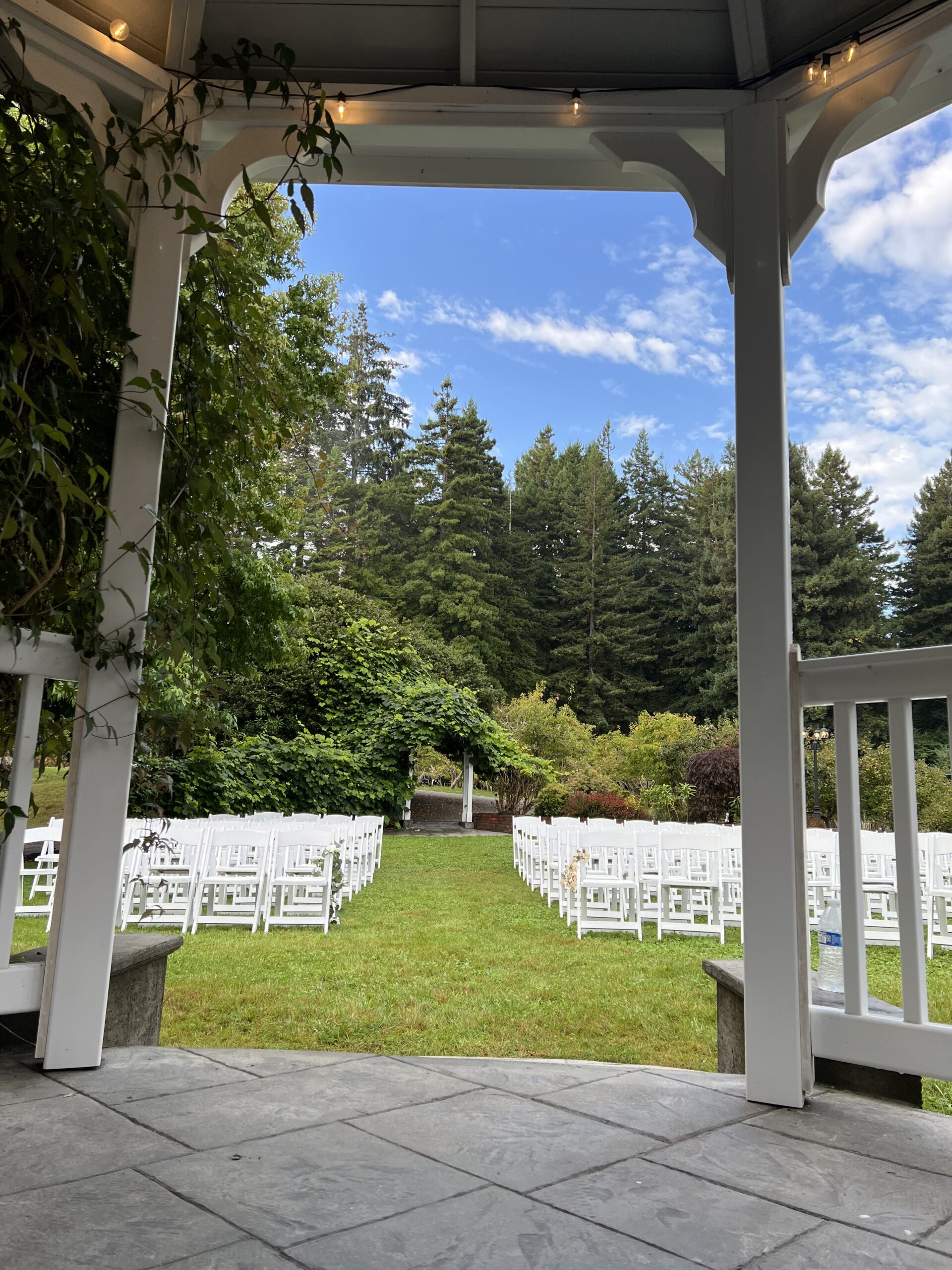 View from gazebo at Mitchell Grove, looking out at white wedding chairs with orchard and redwoods in the background.