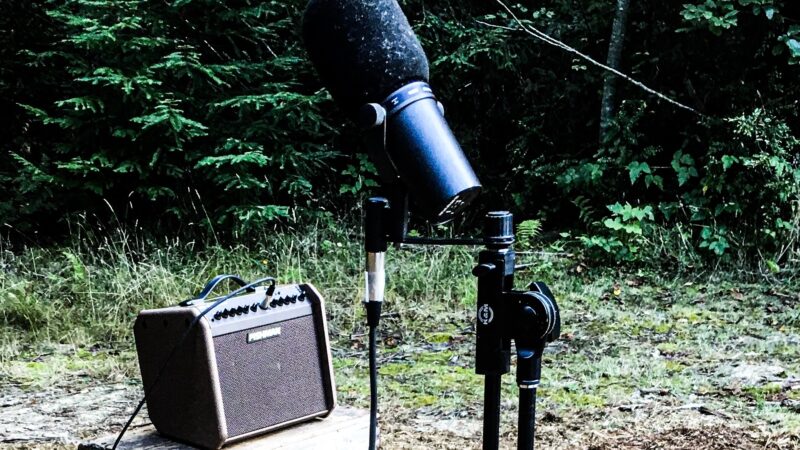 Redwood Grove wedding setup with battery-powered mic and natural forest backdrop