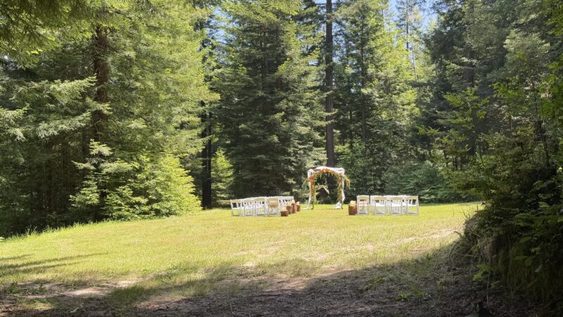 Private redwood forest wedding ceremony area with white chairs, decorated arch, and redwood trees surrounding a peaceful clearing in Humboldt County.